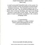 Small Tortoiseshell Butterfly