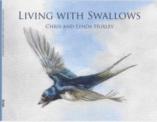Living With Swallows